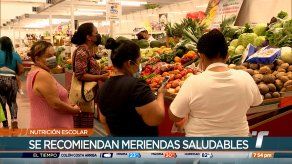 Especialistas reiteran la importancia de alimentos saludables para los estudiantes