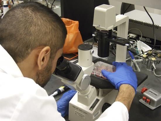 Voluntaria francesa del MSF contagiada con ébola será repatriada este jueves