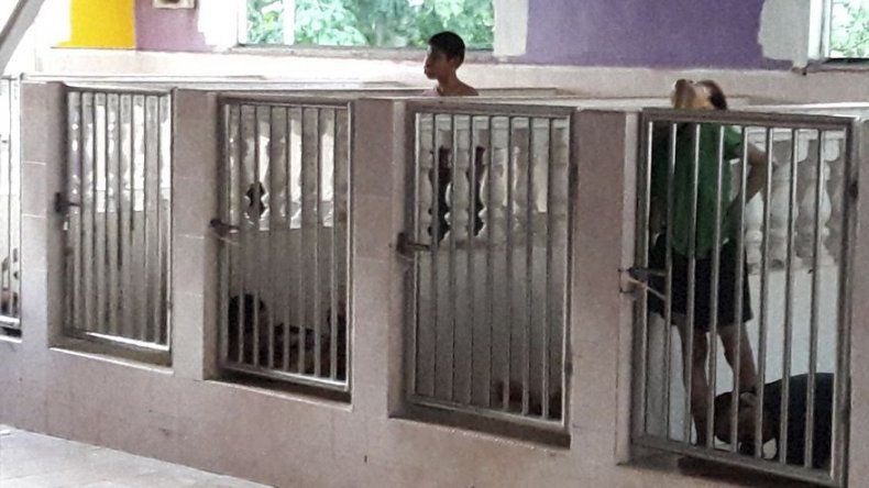 Residencia malasia criticada por encerrar a discapacitados en cubículos