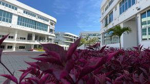 ¡Importante! ITSE anuncia Convocatorias Públicas de Fondos