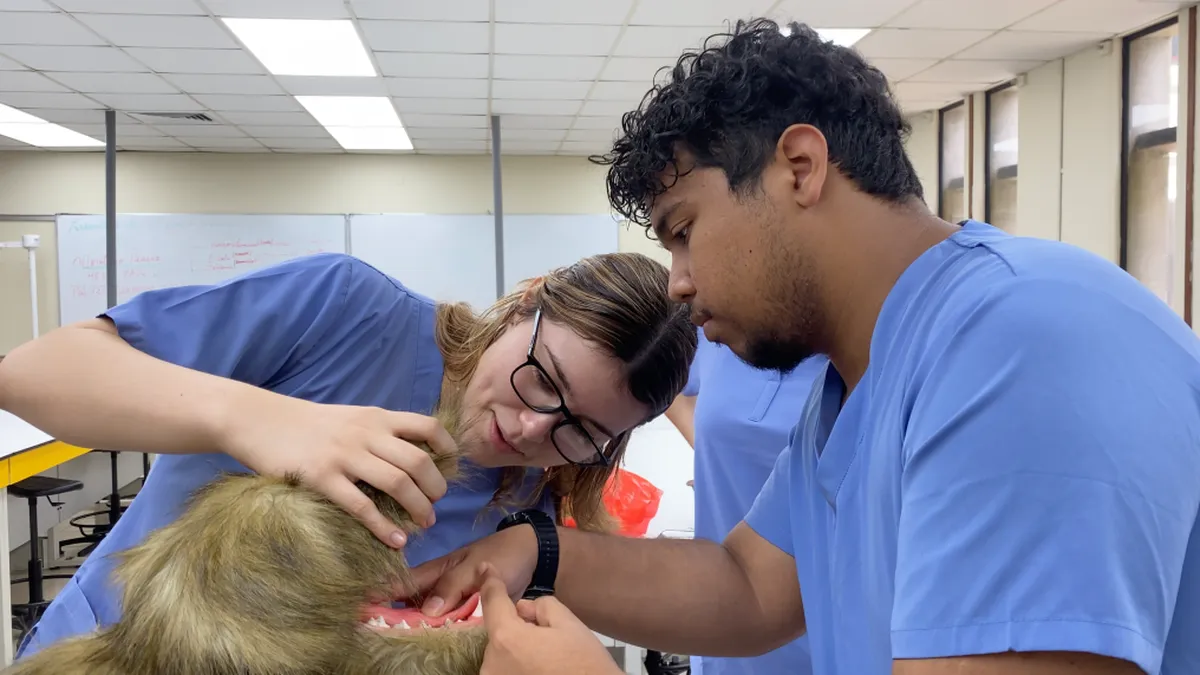 La Universidad de Panamá moderniza formación veterinaria.