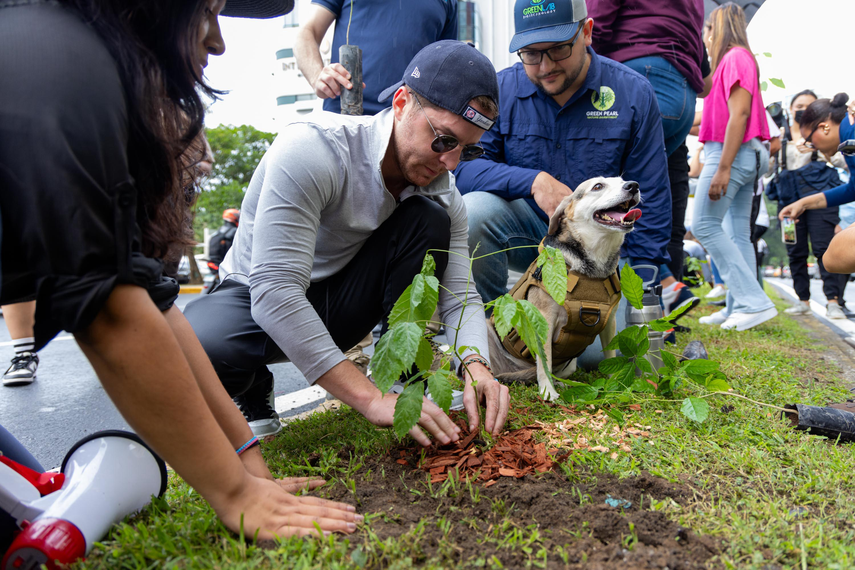 Una siembra histórica para el futuro verde de Panamá Una siembra histórica para el futuro verde de Panamá