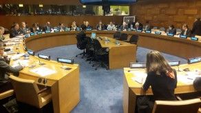 Expertos se reúnen en la ONU para tratar conservación de los felinos