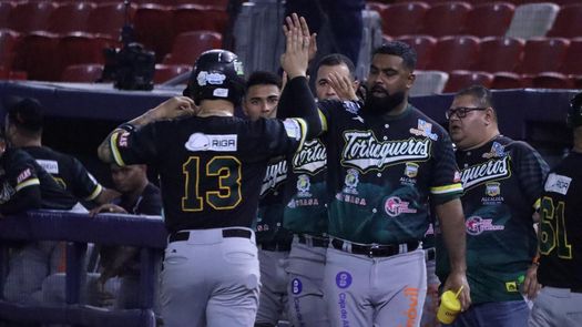 Béisbol Mayor 2026 Béisbol Mayor 2026