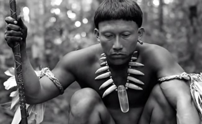 Colombia llega por primera vez a los Óscar con El abrazo de la serpiente