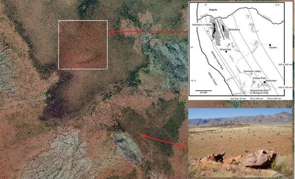 Científicos hallan un patrón homogéneo en los círculos de hadas en Namibia
