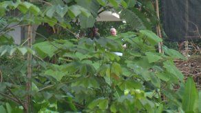 Expresidente Martinelli recibe visitas de familiares y abogados en el Día del Padre