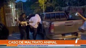 Caso de chihuahua maltratado pasará a un Juzgado de Paz