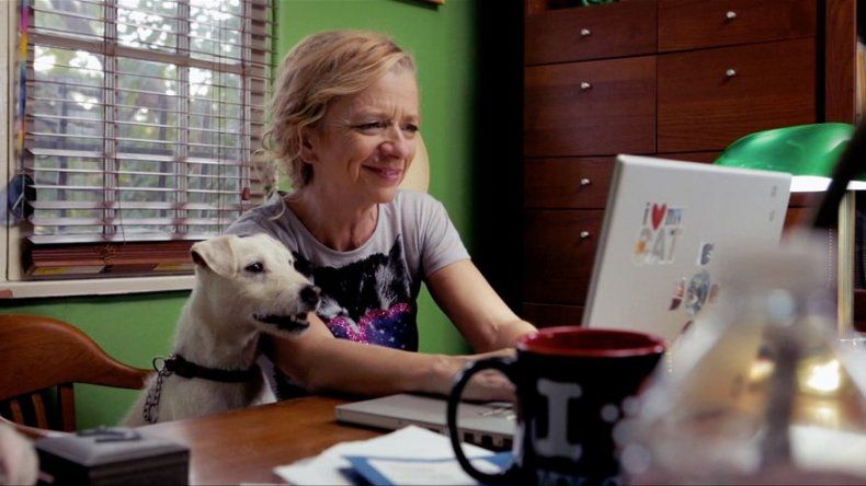 Celebran Festival de Cine animal con comedia
