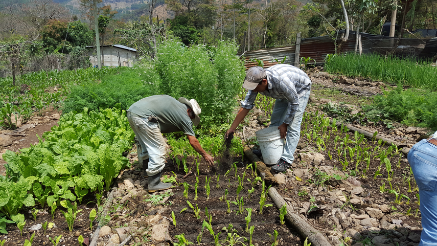 Programa de MiAmbiente y MIDA para una producción sostenible