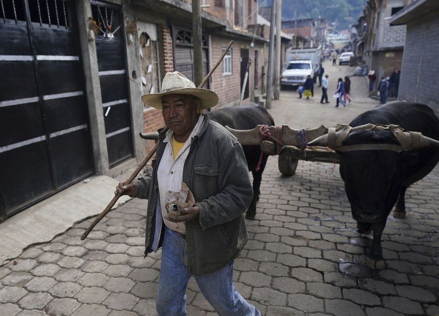 Las frías mañanas de invierno en Comachuén son un regreso a otra época. Los hombres están de regreso en el pueblo por el paro estacional del trabajo agrícola en Estados Unidos.