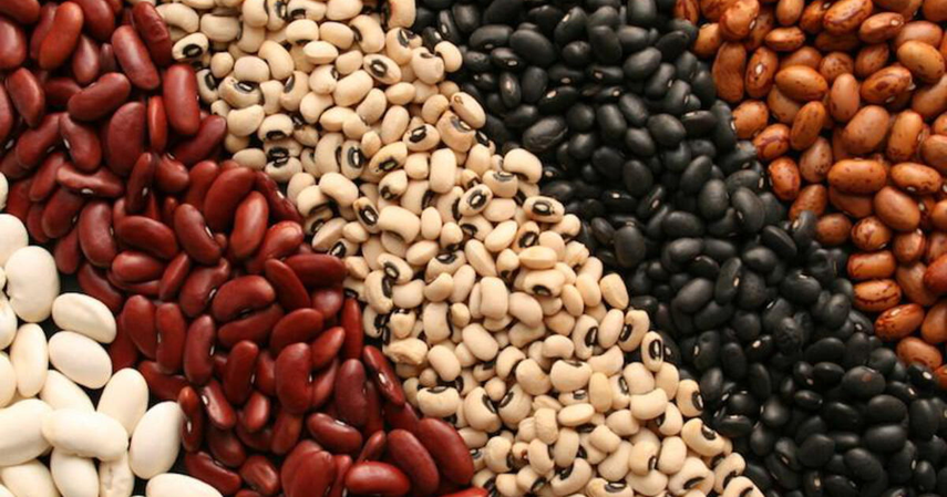 CSS comparte la importancia de incluir menestras en las comidas