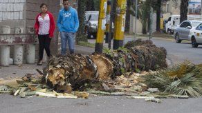 Dos muertos y más de 300 afectados en Honduras por frente frío con lluvias