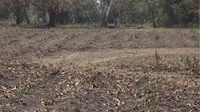 MIDA plantea medidas de prevención ante Fenómeno de El Niño MIDA plantea medidas de prevención ante Fenómeno de El Niño