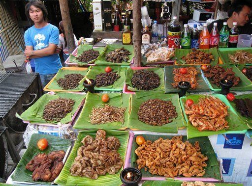 Consumir insectos es saludable para el hombre: FAO