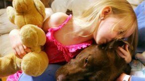 Multan a operador de refugios para niños migrantes