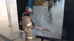 MINSA reporta aumento significativo de casos de dengue