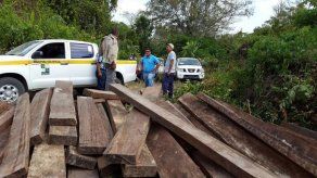 Retienen 58 piezas de madera en Espavé en Chepo