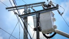 Naturgy informa sobre interrupciones en el suministro eléctrico por caída de árboles