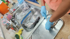 MIDA realiza jornada de detección de enfermedades virales MIDA realiza jornada de detección de enfermedades virales