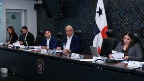 Comisión de Gobierno de la Asamblea Nacional.