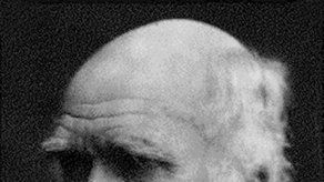 Charles Darwin obtiene más de 4.000 votos en elecciones de EEUU