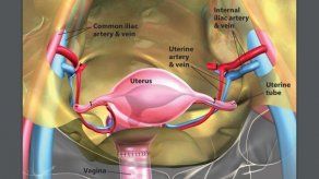 Mujer agradece por útero trasplantado