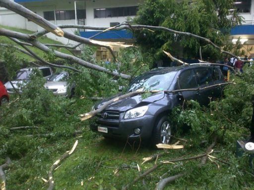 Afectaciones por fuerte lluvia y vientos en Panamá Centro y Este