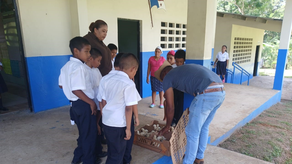 MIDA entrega insumos avícolas a centros escolares MIDA entrega insumos avícolas a centros escolares