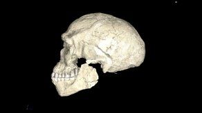 El homo sapiens es más antiguo de lo que se pensaba