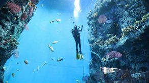 Biomuseo inaugura tres nuevas galerías