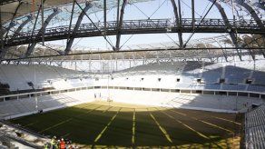 Rusia: Langostas podrían destruir campos de juego en Mundial