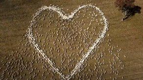 “Me costó varios intentos hacerlo bien (...) y el resultado final es lo que ven. Fue lo más parecido a un corazón que conseguí, dijo Jackson.