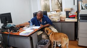 MiAmbiente abre sus puertas a personas en compañía de sus animales domésticos MiAmbiente abre sus puertas a personas en compañía de sus animales domésticos