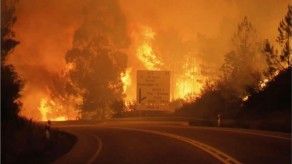 Suben a 62 los muertos en incendio de Portugal, donde vuelve el viento fuerte