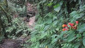 Proyecto de valoración del Parque Volcán Barú tiene 75% de avance