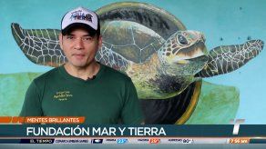 Mentes Brillantes: Jacinto Rodríguez