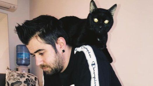 Murió Don Gato, la mascota de uno de los youtubers más populares del mundo