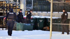 Matan a tiros a un puma en la capital de Dakota del Norte