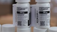 Medicamento Molnupiravir contra el COVID-19. Medicamento Molnupiravir contra el COVID-19.