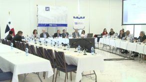 Reformas deben ser discutidas en este momento y no cerca de campaña sugiere Pinilla
