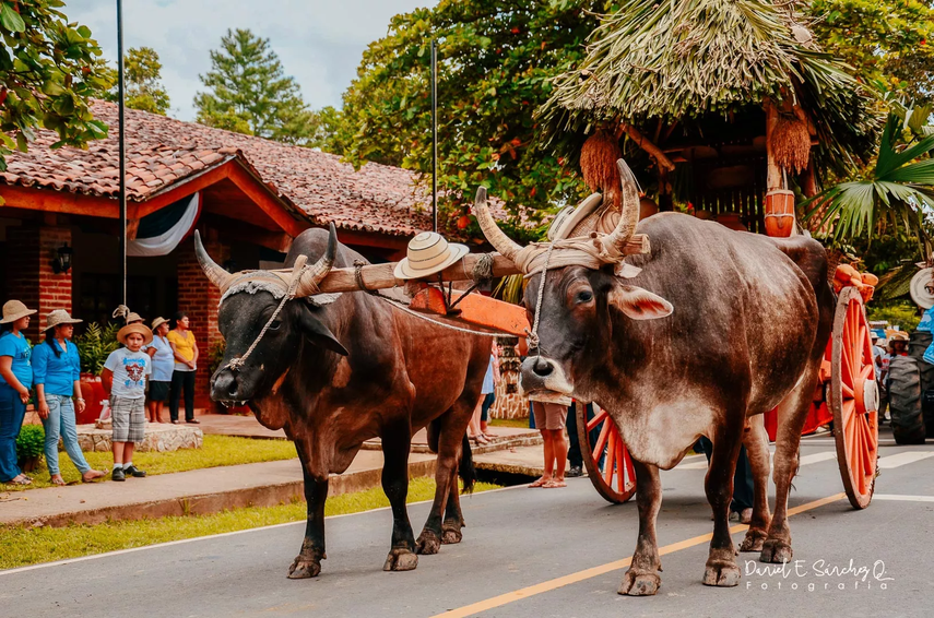 fotografía por lacabanga.com