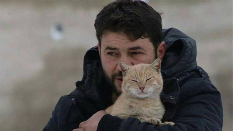 El héroe de los gatos en el conflicto de Siria