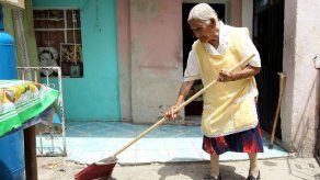 Nopales y verdolagas