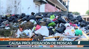 San Miguelito invadido por basureros improvisados y moscas