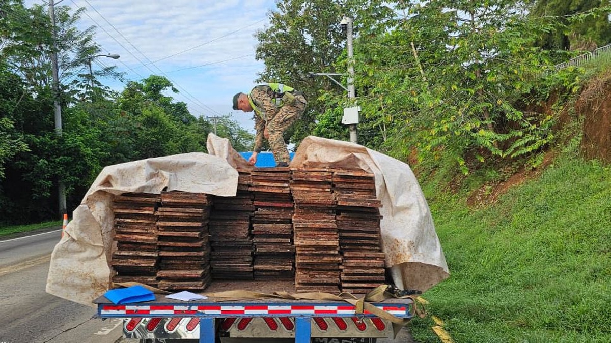SENAFRONT y MiAmbiente decomisan tablas de madera. SENAFRONT y MiAmbiente decomisan tablas de madera.