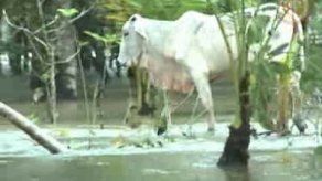 Inundaciones: Gobierno dice que unos 225