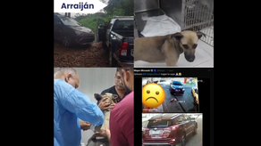 Policía Nacional ubica a conductora que atropelló a un perro en una estación de combustible Policía Nacional ubica a conductora que atropelló a un perro en una estación de combustible