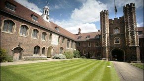 Insecto alcanzar alturas de 100 veces su tamaño