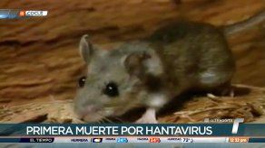 Se registra primera muerte por hantavirus en Coclé